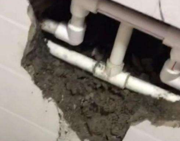 电白卫生间漏水哪家好