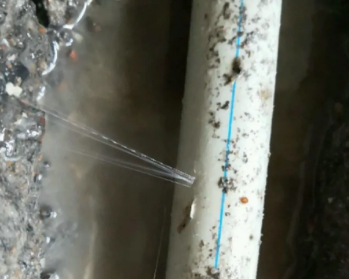 电白卫生间测漏水多少钱