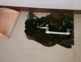 电白卫生间测漏水多少钱
